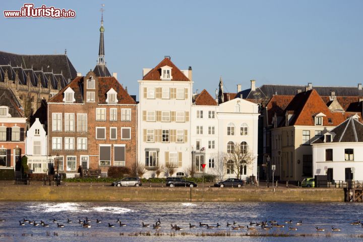 Immagine Un'immagine degli edifici del piccolo centro storico di Deventer, uno delle cittadine più caratteristiche di tutta l'Olanda - foto © VanderWolf Images / Shutterstock.com