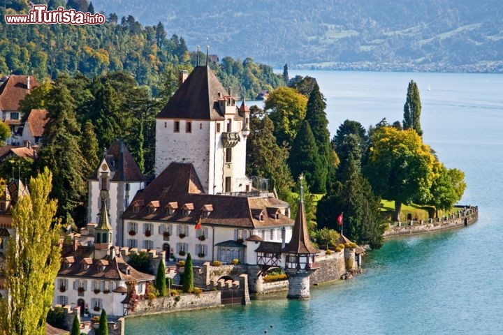 Immagine Il Castello di Oberhofen sul Lago di Thun in Svizzera - © swisshippo - Fotolia.com