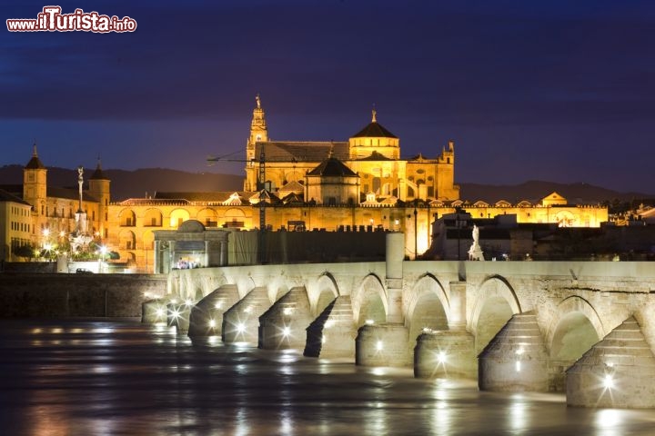 Immagine Foto notturna di Cordova, con il ponte romano, il fiume Guadalquivir, e la grande cattedrale sullo sfondo - © Andre Goncalves / Shutterstock.com