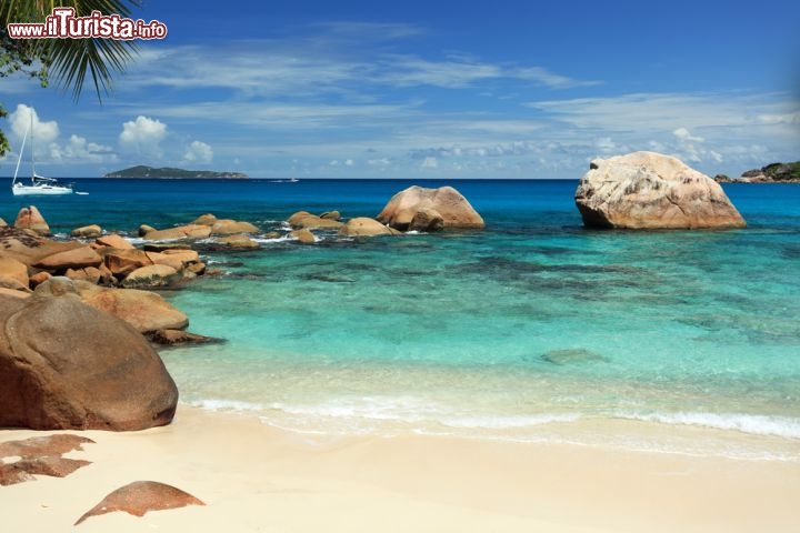 Immagine La spiaggia e il mare di Anse Lazio a Praslin nelle Seychelles. L'isola presenta altre magnifiche spiagge: da ricordare quelle di Anse Marie Luise, Anse Gergette e Anse Consolation. La più frequentata di tutte è la Grand Anse, anche se Anse Lazio, a detta di molti, è una delle migliori spiagge di tutto l'oceano indiano - © Grozaya / Shutterstock.com
