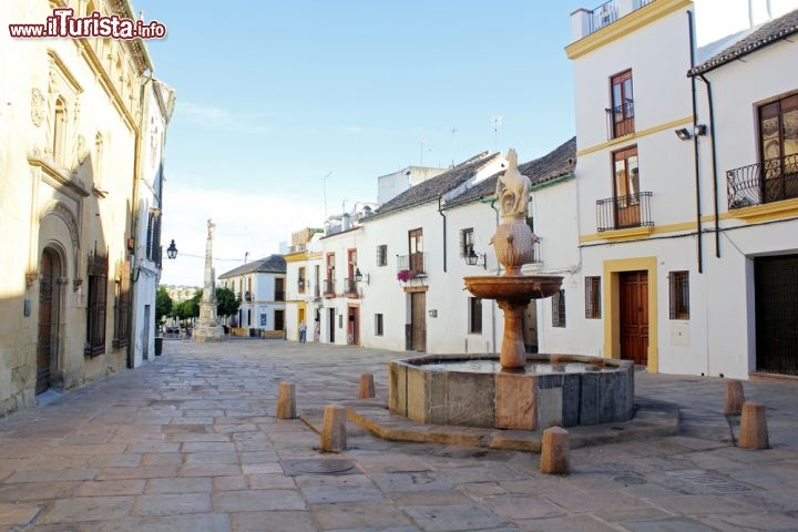 Immagine La Plaza del Potro si trova in centro a Cordova (Cordoba) una delle città storiche dell' Andalusia (Spagna) - © Luisma Tapia / Shutterstock.com
