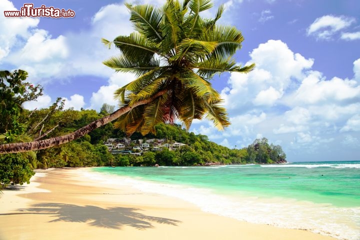 Immagine Spiaggia tropicale a Baie Lazare: la baia si trova sull'isola di Mahé alle Seychelles - © sashahaltam / Shutterstock.com