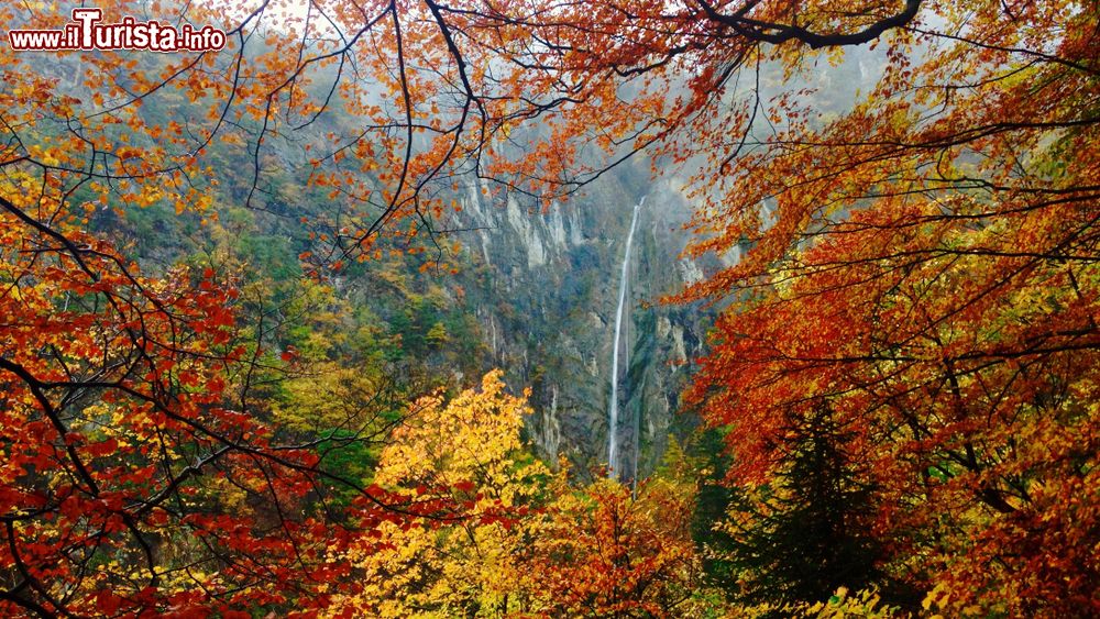 Immagine Cascate spettacolari fotografate in autunno vicino a Lavey-Les-Bains in Svizzera