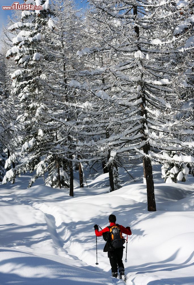Immagine Escursione con le ciaposle nei boschi di Bognanco in Piemonte, in inverno