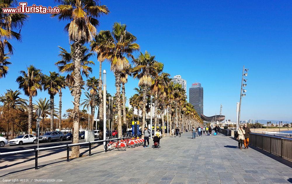 Immagine La promenade di Barcellona, il lungomare della città catalana - © Allik / Shutterstock.com
