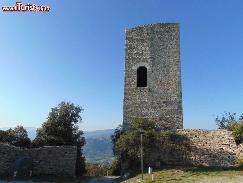 Immagine La torre di Monsummano Alto, siamo in Toscana in provincia di Pistoia - © lissa.77 / Shutterstock