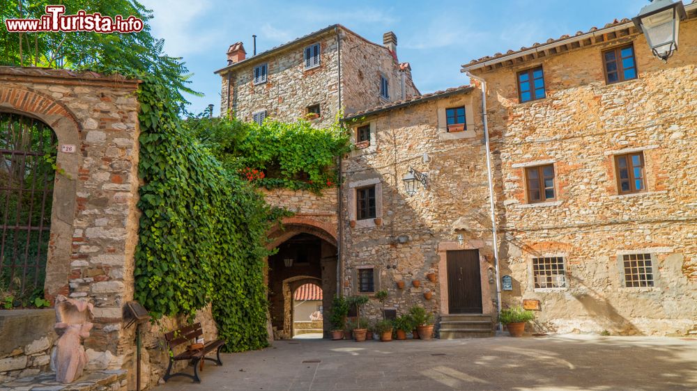Immagine Le case in pietra delk centro storico di Sassetta, provincia di Livorno, Toscana