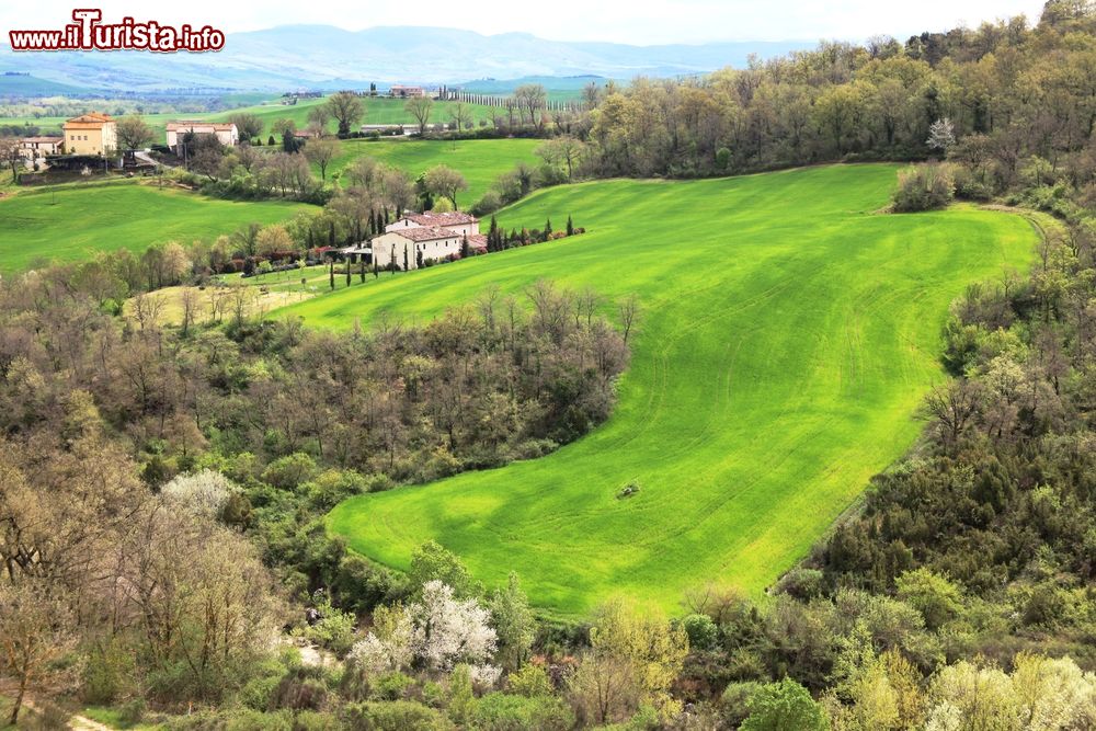 Immagine Le verdi colline intorno a Bagno Vignoni in Toscana