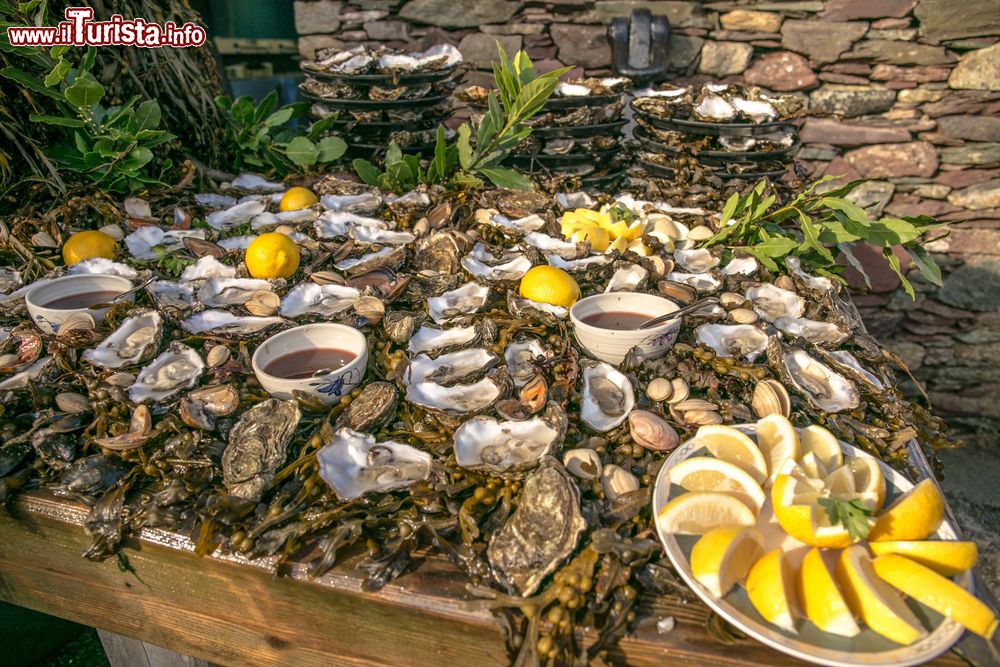 Immagine Oyster and Seafood Festival, la Festa delle Ostriche a Galway in Irlanda.