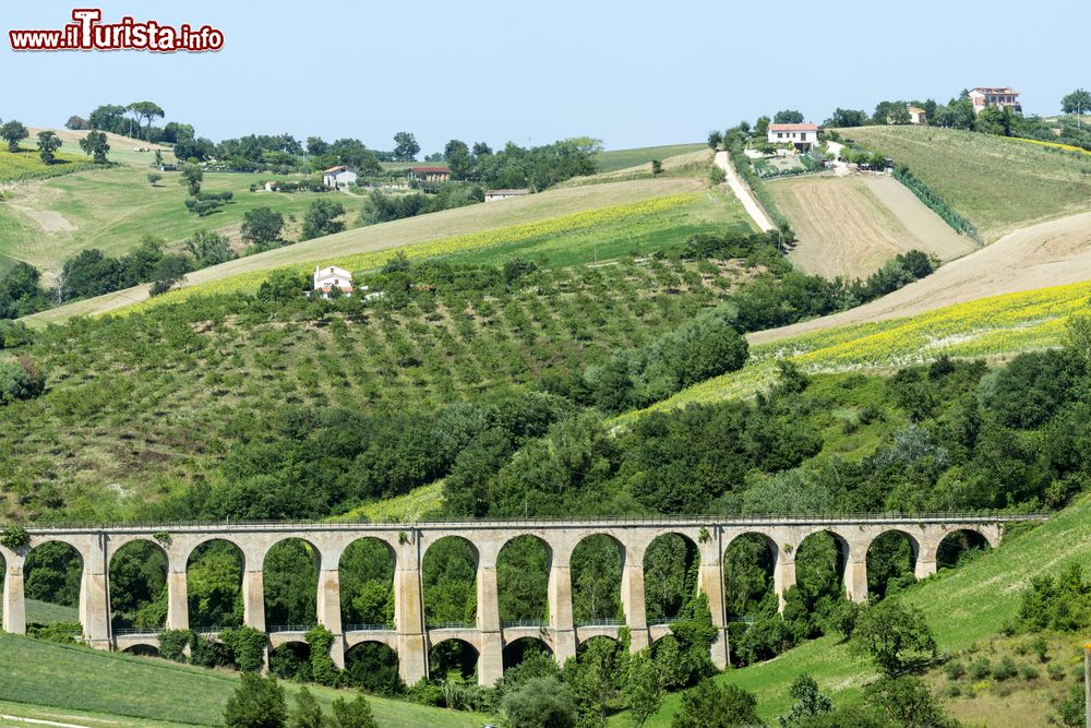 Immagine Paesaggio collinare vicino a Tolentino, Marche. In direzione di Urbisaglia si può ammirare l'acquedotto romano.