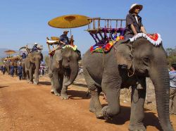 Elefanti in processione nel Laos, l'affascinante stato dell' Asia - Foto Giulio Badini