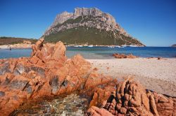 Sardegna Isola Tavolara graniti rossi spiaggia, ...