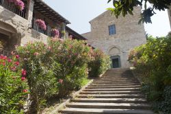L'antica chiesa di Bevagna, Umbria, Italia. A fare da cornice alla scalinata che conduce all'edificio religioso sono delle profumate piante di oleandro.



