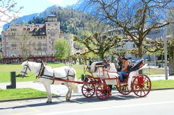 Una carrozza trainata da un cavallo con turisti a Interlaken, Svizzera. E' uno dei simpatici tour che si possono effeattuare per andare alla scoperta di questa graziosa cittadina dell'Oberland ...
