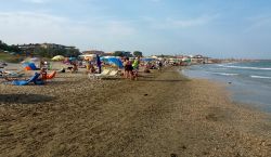 Casalborsetti, Ravenna: la spiaggia dei cani si trova presso il bagno Overbeach.