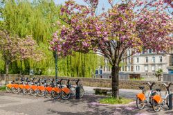 Ciliegi in fiore e bici in un parco di Nantes, Francia. Situata lungo il corso dell'imponente fiume Loira, Nantes ha un ricco patrimonio storico e culturale.



