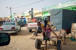 Due bambini seduti su un carretto traianto da asini in un quartiere di Nouakchott, Mauritania - © Senderistas / Shutterstock.com