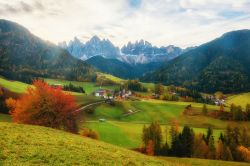 Foliage autunnale per il paese di Santa Maddalena, sud Tirolo, Italia. Sullo sfondo le Dolomiti.



