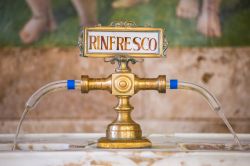 Particolare della fontana da cui sgorga l'acqua della sorgente Rinfresco alle terme Tettuccio di Montecatini, Pistoia, Italia - © Alexander Mazurkevich / Shutterstock.com