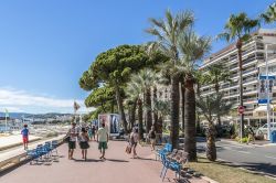 Gente a spasso sulla passeggiata della celebre Croisette di Cannes, Francia. La Promenade si sviluppa per 2 chilometri ed è affiancata da una spiaggia sabbiosa da un lato e da boutique ...