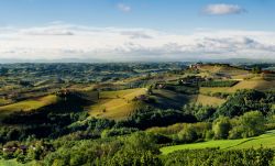 I vigneti della Langhe in Piemonte, fotografati dalla terrazza panoramica di Sinio