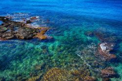 Il mare limpido e cristallino di Alghero, Sardegna. Siamo nella parte nord-occidentale dell'isola: qui il paesaggio offre degli scorci naturali di rara bellezza.
