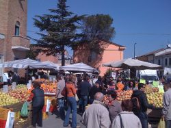 Il mercato di San Mauro Pascoli - © N.monte, CC BY 2.0, Wikipedia