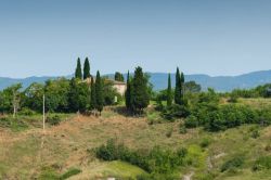 Il paesaggio dolce delle colline senesi intoerno a Rapolano Terme, Toscana