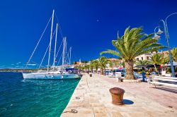 Il porto di Rogoznica (Croazia), noto come Marina Frapa, è considerato uno dei migliori dell'Adriatico da chi viaggia in barca.