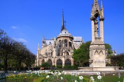 La cattedrale di Notre Dame a Reims, Francia. E' una delle più interessanti espressioni di architettura gotica grazie anche alla stupenda facciata e alle mille decorazioni. Si presenta ...