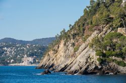 La costa rocciosa di Zoagli, Genova, Liguria. Il paese è noto anche per la scogliera pedonale a ridosso del mare realizzata nel corso degli anni '30 del XX° secolo con il contributo ...