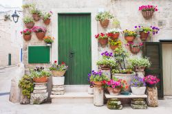 La facciata di una vecchia casa in pietra a Monopoli, Puglia. Ad abbellirla, fiori e piante di ogni genere.



