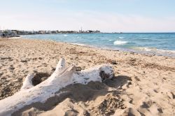 La sabbia dorata di una spiaggia vicino a Savelletri in Puglia