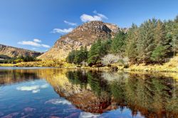 Lago fra le montagne nella penisola di Dingle, Irlanda. La vegetazione si rispecchia nelle acque limpide e cristalline di questo bacino montano: la penisola è uno dei luoghi più ...
