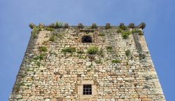 L'antica torre del castello a Torri del Benaco, Verona, Veneto. Il castello scaligero è una fortezza di origine romana costituita da tre torri e un mastio. Al suo interno si trova ...