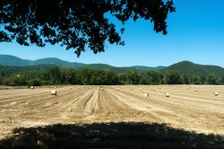 Le campagne intorno a Piediluco in Umbria, dopo la trebbiatura del grano, in estate