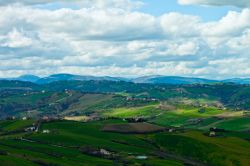 Le colline marchigiane nei dintorni di Servigliano, provincia di Fermo