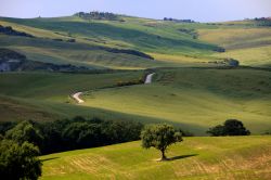 Le dolci colline delle Crete senesi nei pressi di Asciano, Toscana  - © Paolo Trovo / Shutterstock.com