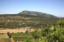 Lungo la Strada del Vino Cannonau in Sardegna: paesaggi e vigneti nella zona di Dorgali