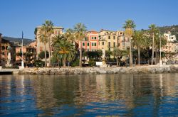 Il lungomare adornato di palme a Santa Margherita Ligure - © Antonio S / Shutterstock.com