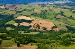 Paesaggio collinare delle Marche nella regione di Servigliano
