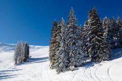 Paesaggio innevato con piste da sci a Megève, Alpi francesi. Situato nel dipartimento dell'Alta Savoia, questo Comune si trova nel cantone di Sallanches.
