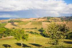 Panorama della campagna attorno a Offagna, Ancona, Marche. Dalla sommità della collina su cui sorge il paese marchigiano si può osservare il bel paesaggio campestre.




