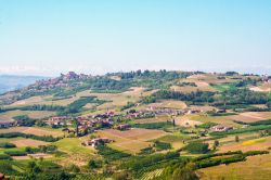 Posta al confine tra Langhe e Roero Magliano Alfieri offre un paesaggio collinare vocato alla viticoltura - © lauradibi / Shutterstock.com