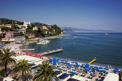 Stabilimenti balneari sulla Riviera di Levante: siamo a Santa Margherita Ligure, tra Rapallo e Portofino - © Robyn Mackenzie / Shutterstock.com