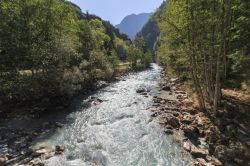 Scorcio di un torrente di montagna nelle Alpi francesi a Venosc, dipartimento dell'Isère.
