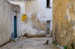 Un vicolo del vecchio centro storico di Bitti, provincia di Nuoro, Sardegna. E' considerato il principale borgo della Barbagia settentrionale che un tempo era nota come Barbagia di Bitti. ...