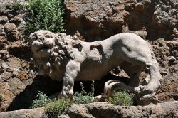 Una statua di leone fra le rovine dell'antica Monterano, Roma, Lazio.


