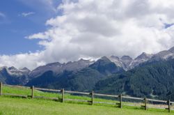 Trekking sui pascoli di Bellamonte, località posta in Val di Fiemme tra il Passo Rolle e Predazzo, in Trentino