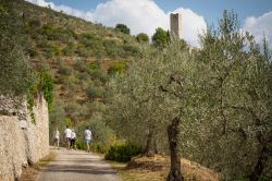 Turisti lungo un sentiero in direzione del Castello di Pissignano in Umbria. - © Paolo Paradiso / Shutterstock.com